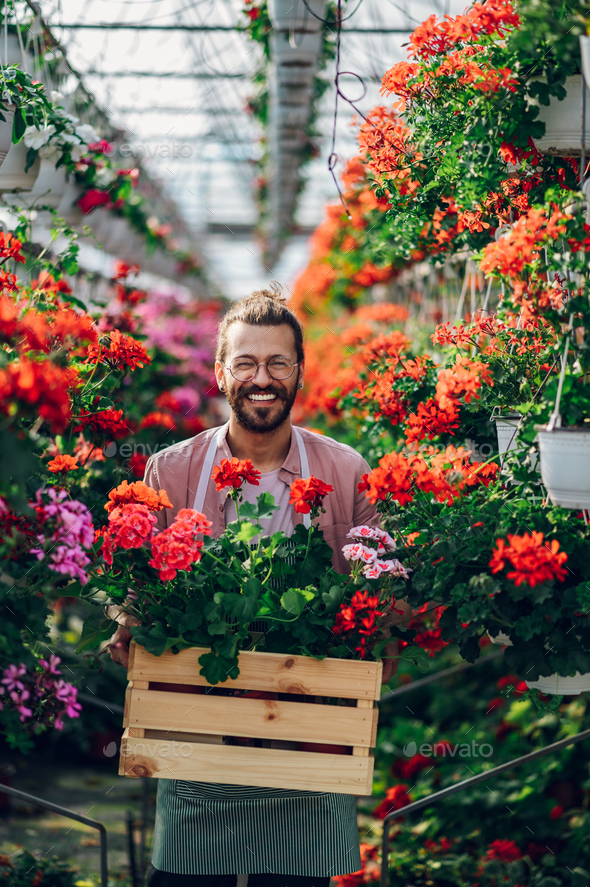 Florist man working with flowers at a plant nursery greenhouse. Stock Photo by zamrznutitonovi